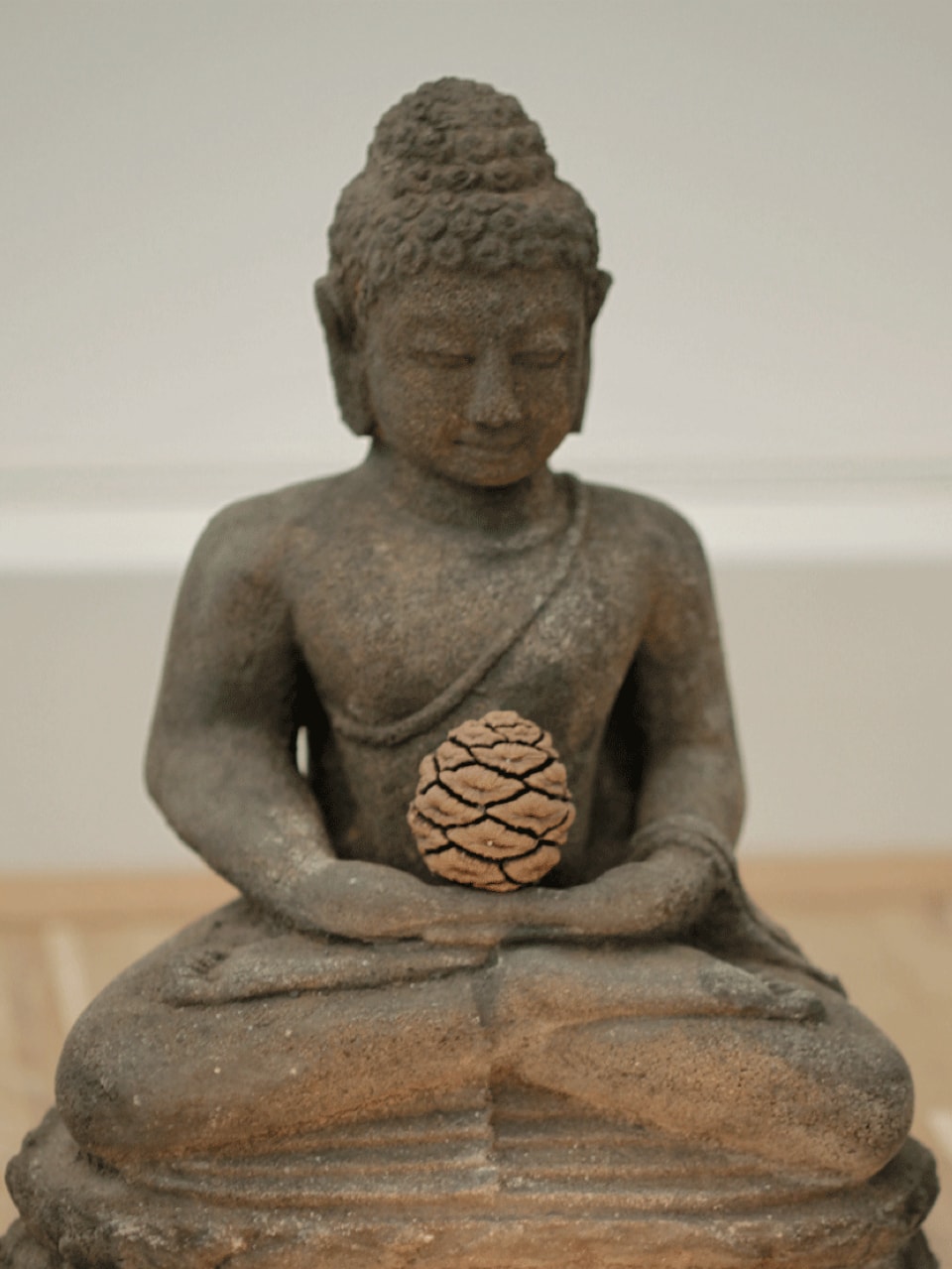 Lebende Systeme Praxisraum